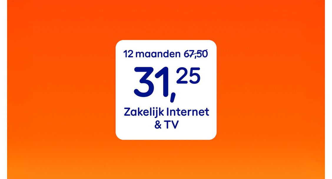 12 maanden Zakelijk Internet van €65,50 voor €31,25