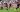 Eredivisie in Ultra HD