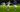 Celtic kijken in de Scottish Premiership bij Ziggo