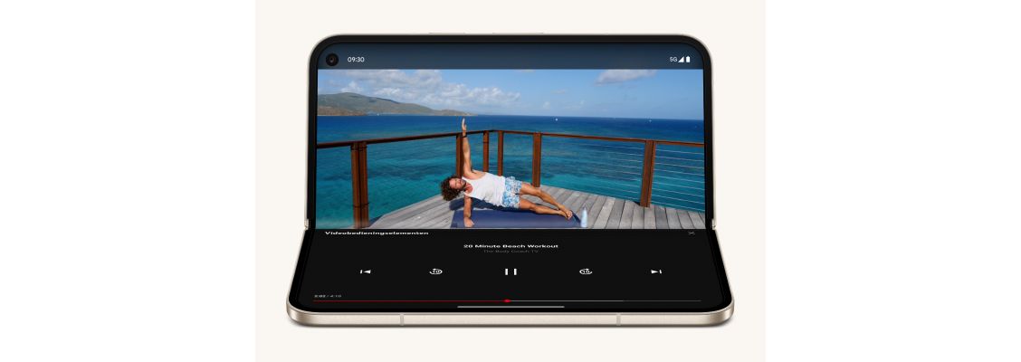 Google Pixel 9 Pro Fold processor