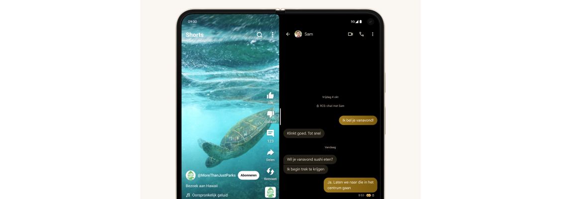 Google Pixel 9 Pro Fold design