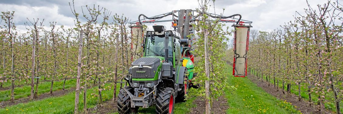 Een tractor in een boomgaard