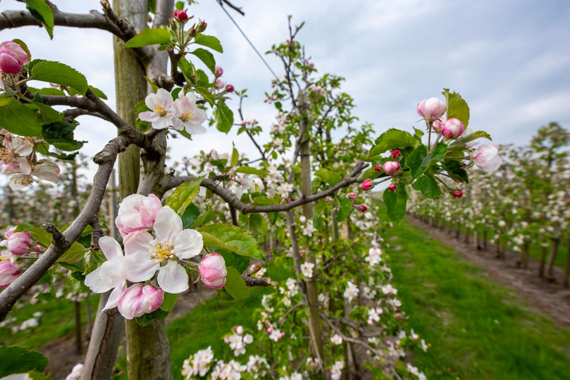 Video: Brel Home innoveert met slimme IoT-zonwering