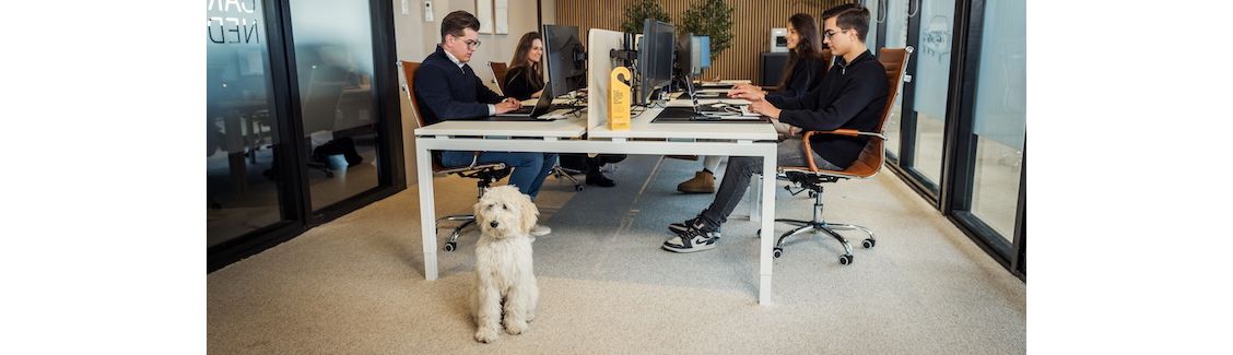 Autodealer verbetert klantervaring met slimme telefonie One Net