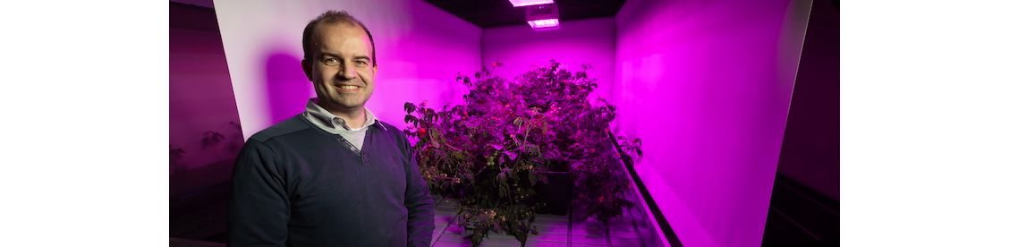 Cybercrime treft 6.500 bedrijven: politie-actie om mkb te wapenen