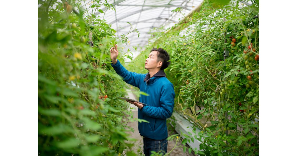 Vooruitgang met hybride werken