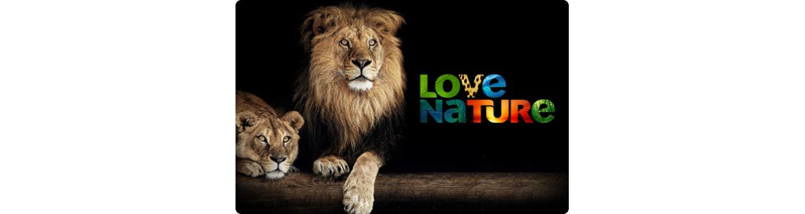 Love nature leeuw