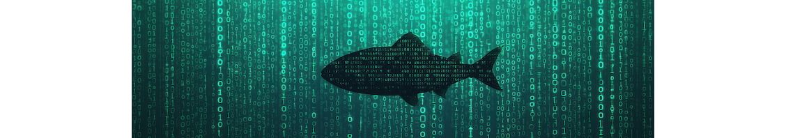 ‘Wacht es… is dit misschien fraude?’ Zo herkent u phishing