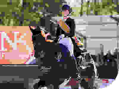 Paardensport bij Ziggo kijken